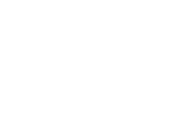Çelik Tim Auto Didim logosu